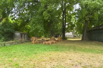 DJI_0517