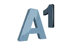 A1